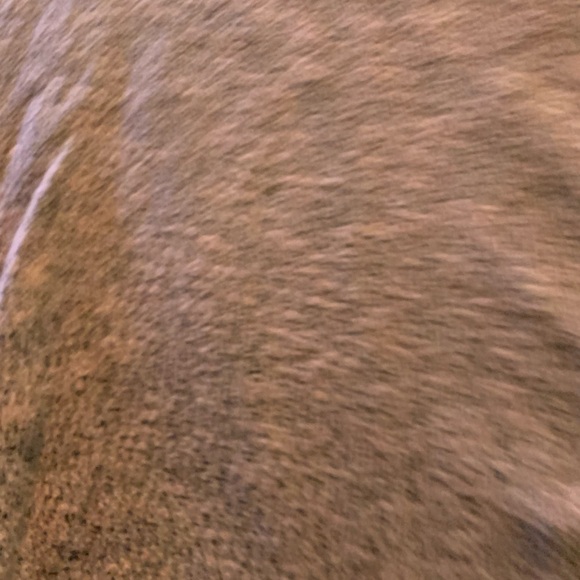 Two lips Womens Top Size Medium With Short Sleevees - Picture 2 of 5